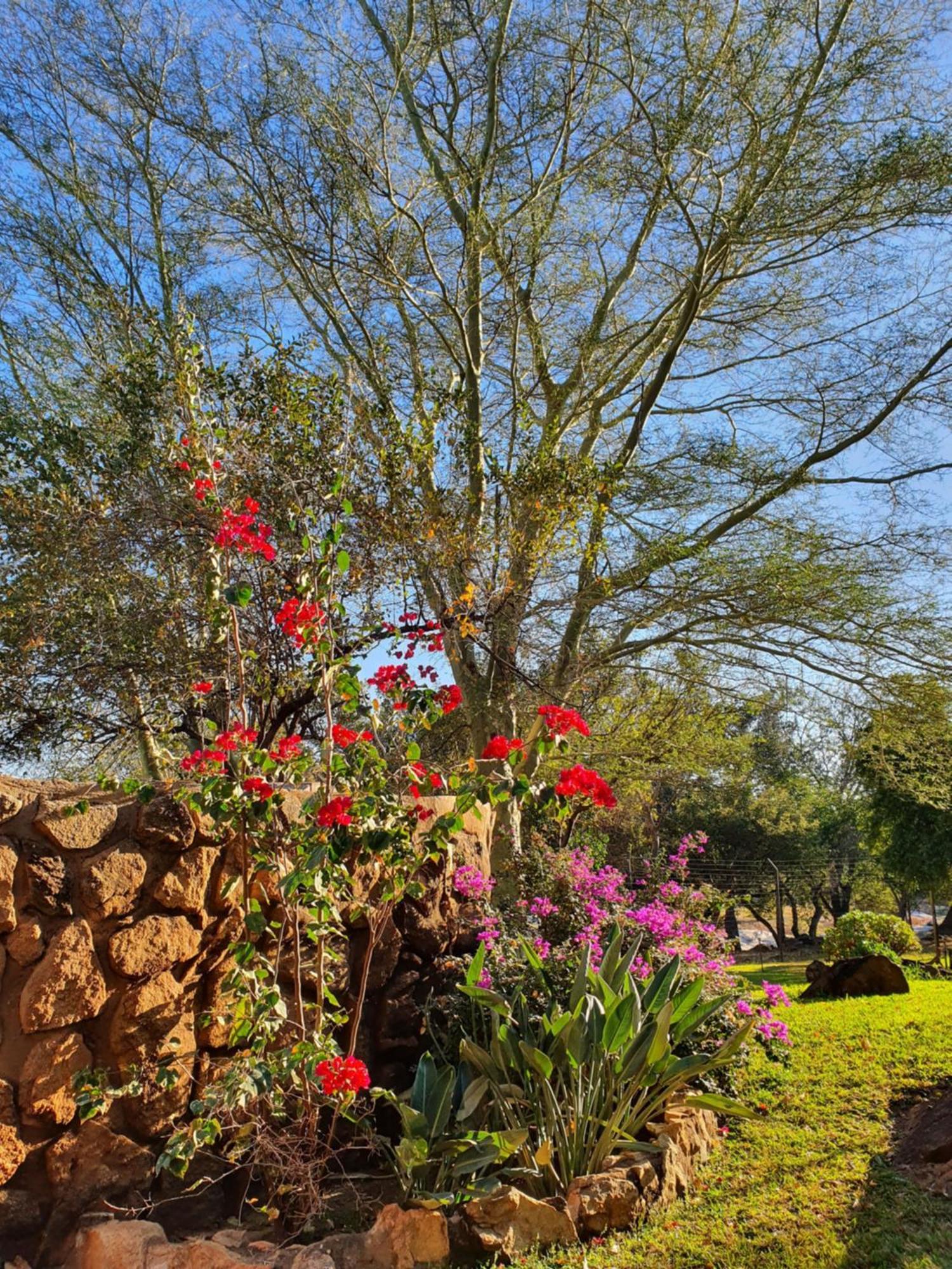 Hasekamp Family Bush Lodge Hoedspruit Eksteriør bilde