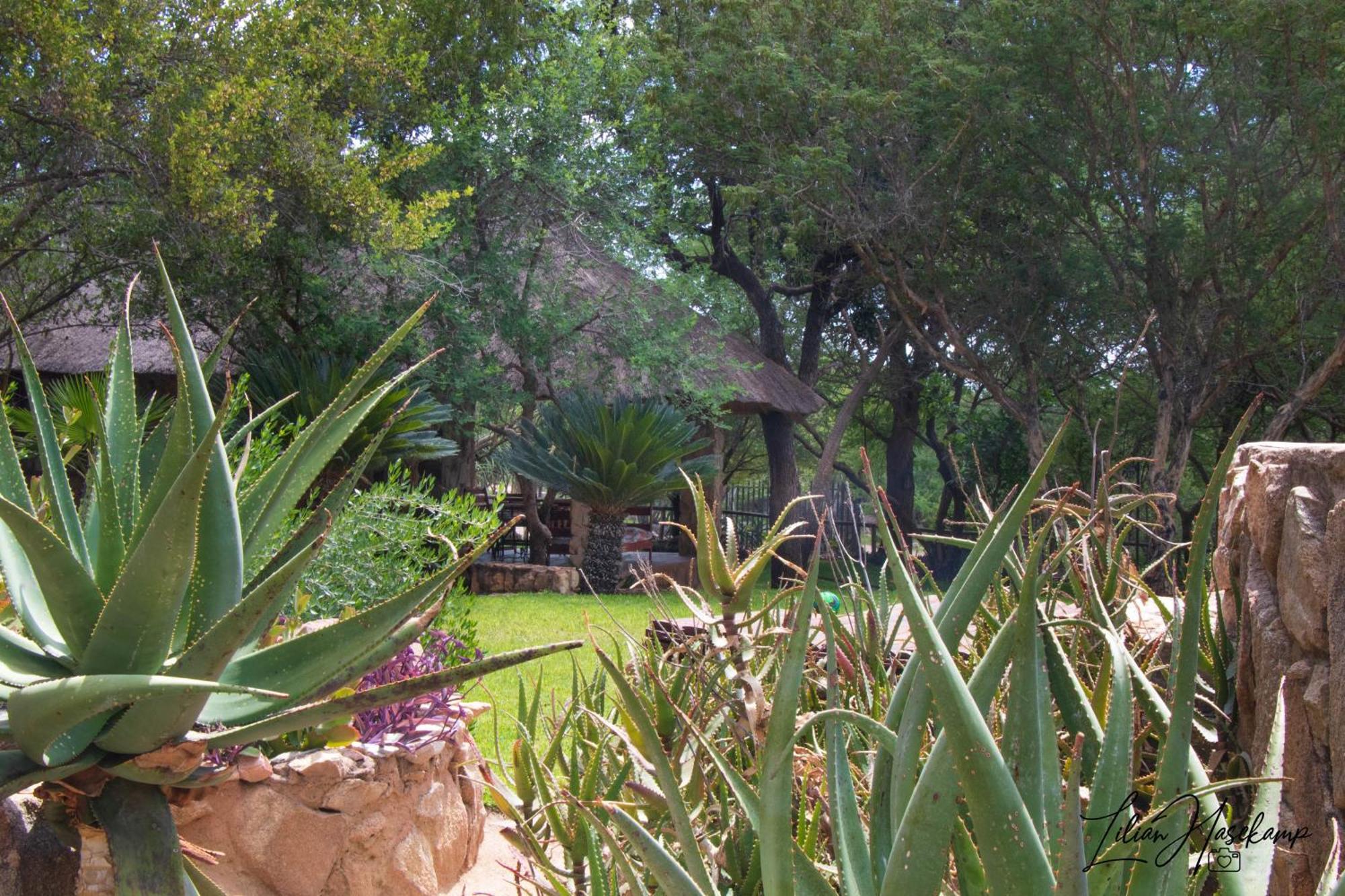 Hasekamp Family Bush Lodge Hoedspruit Eksteriør bilde