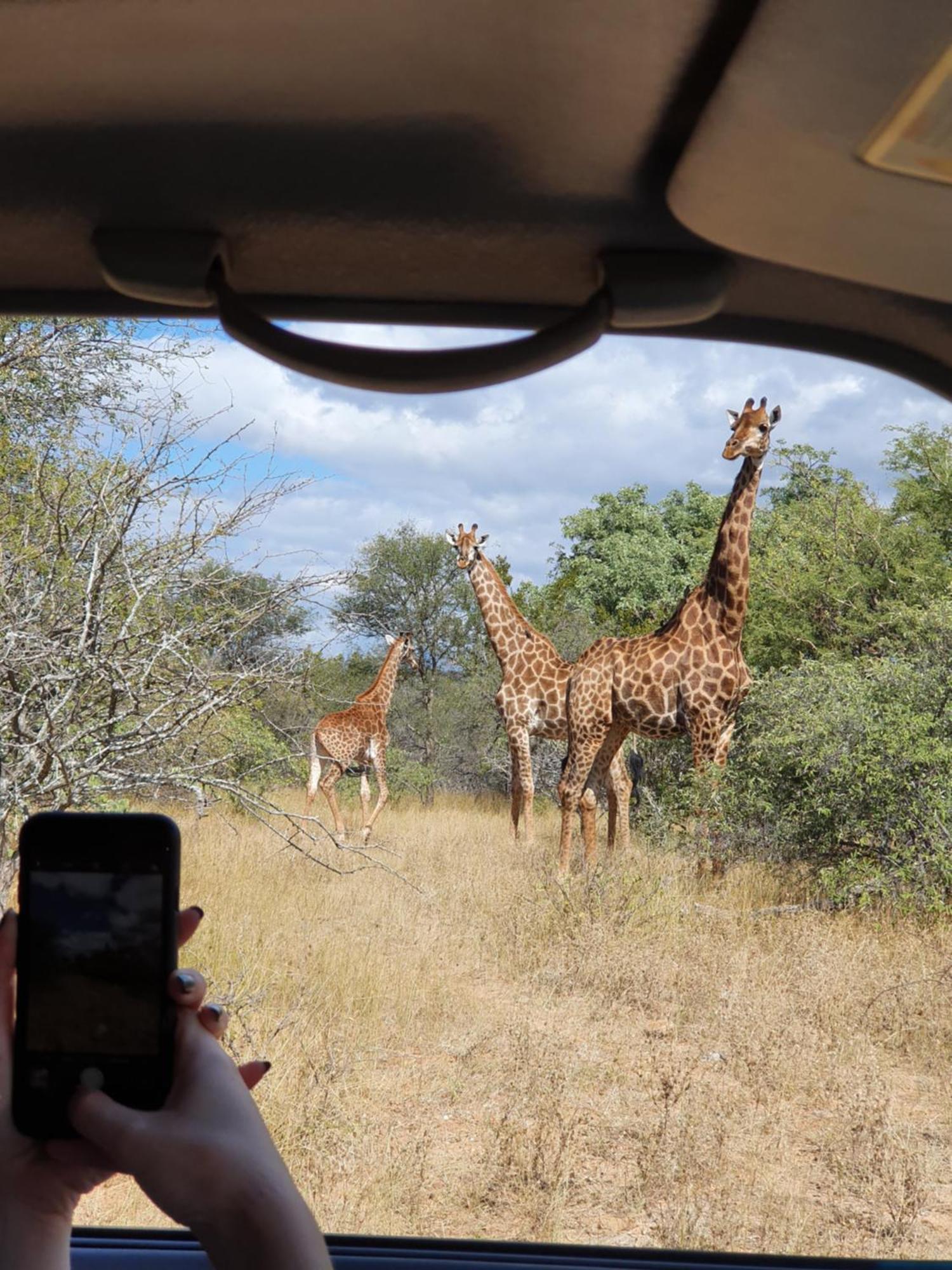 Hasekamp Family Bush Lodge Hoedspruit Eksteriør bilde