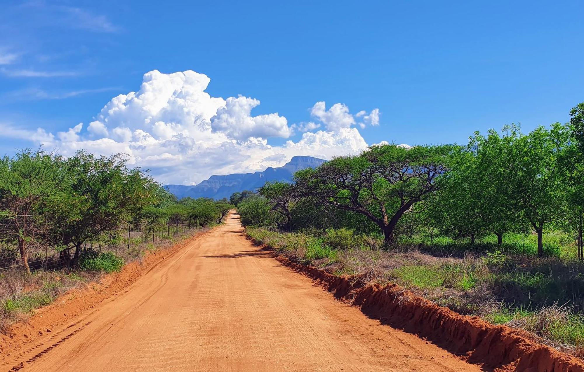 Hasekamp Family Bush Lodge Hoedspruit Eksteriør bilde